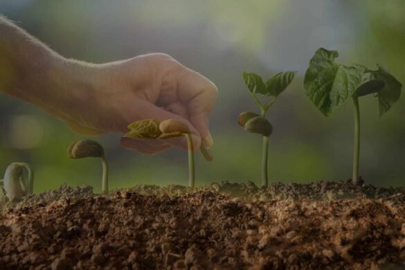 parabola do semeador